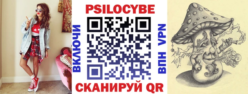 Псилоцибиновые грибы Cubensis  Ефремов 